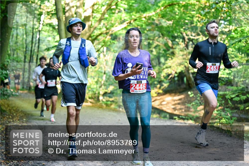 28.09.2025 - 33. Volkslauf durch das schöne Alstertal Dr. Thomas Lammeyer http://msf.ph/oto/8953789 28.09.2025 10:36:55 Laufen 2446, 2453 meine-sportfotos.de