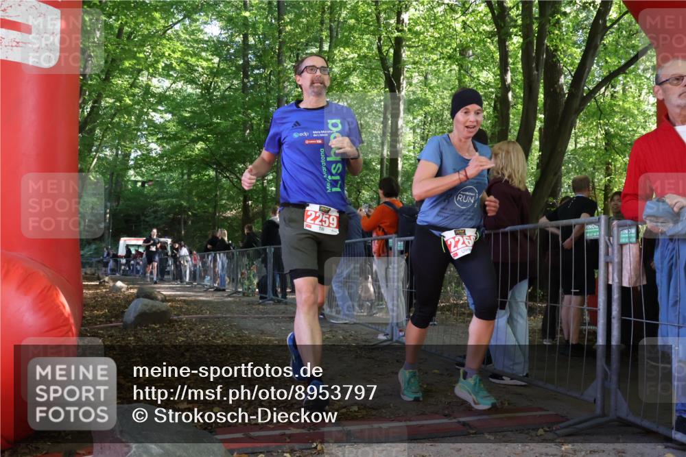 28.09.2025 - 33. Volkslauf durch das schöne Alstertal Strokosch-Dieckow http://msf.ph/oto/8953797 28.09.2025 12:34:18 Ziel 2259, 2600 meine-sportfotos.de