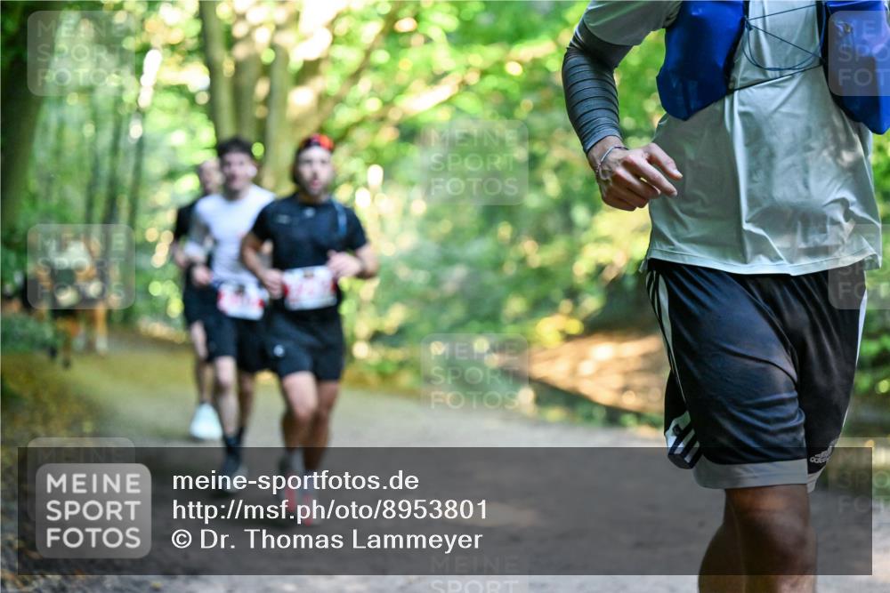 28.09.2025 - 33. Volkslauf durch das schöne Alstertal Dr. Thomas Lammeyer http://msf.ph/oto/8953801 28.09.2025 10:36:57 Laufen  meine-sportfotos.de