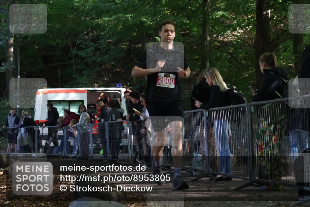28.09.2025 - 33. Volkslauf durch das schöne Alstertal Strokosch-Dieckow http://msf.ph/oto/8953805 28.09.2025 12:34:20 Ziel 2600 meine-sportfotos.de