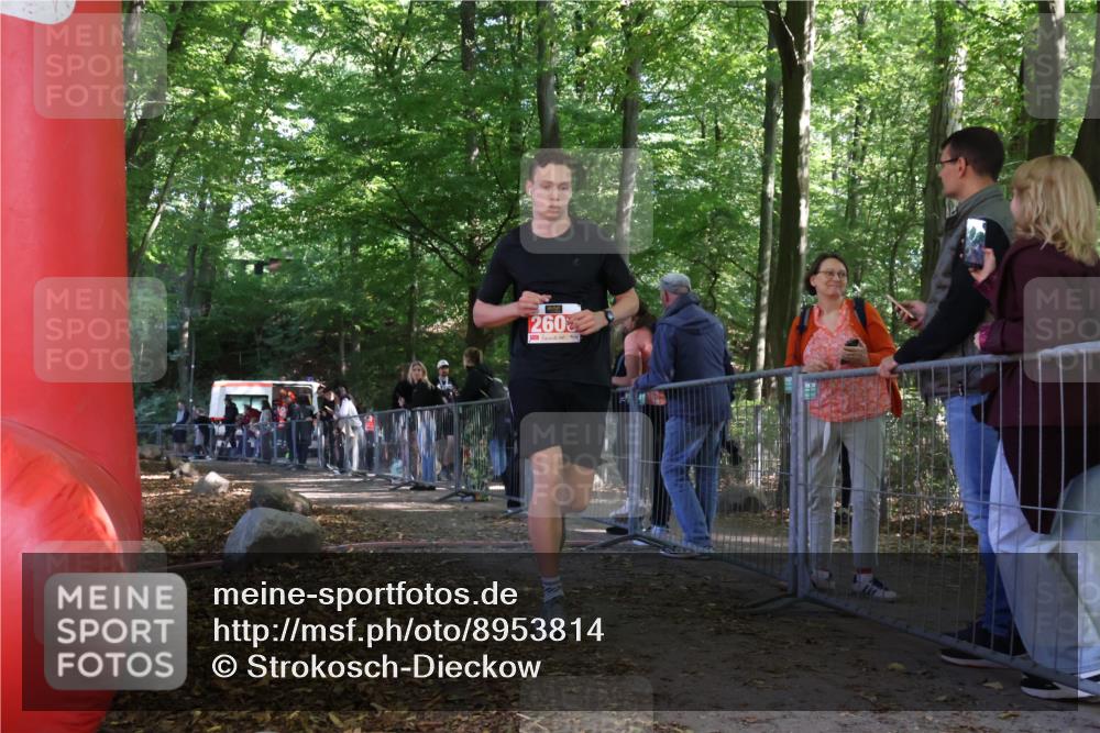 28.09.2025 - 33. Volkslauf durch das schöne Alstertal Strokosch-Dieckow http://msf.ph/oto/8953814 28.09.2025 12:34:22 Ziel 2600 meine-sportfotos.de