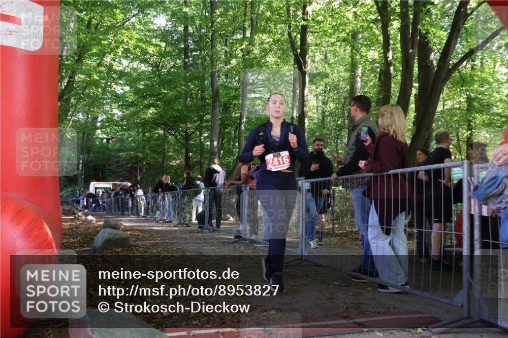 28.09.2025 - 33. Volkslauf durch das schöne Alstertal Strokosch-Dieckow http://msf.ph/oto/8953827 28.09.2025 12:34:44 Ziel  meine-sportfotos.de