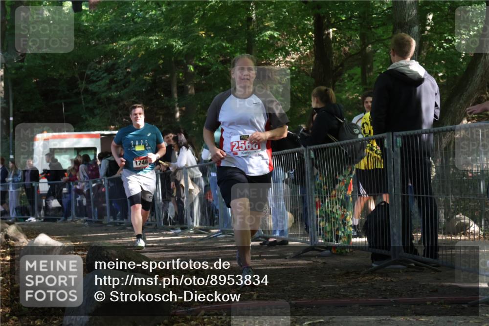 28.09.2025 - 33. Volkslauf durch das schöne Alstertal Strokosch-Dieckow http://msf.ph/oto/8953834 28.09.2025 12:34:59 Ziel 1749, 2566 meine-sportfotos.de