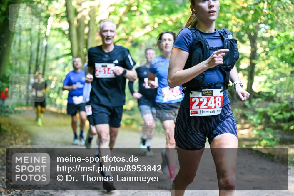 28.09.2025 - 33. Volkslauf durch das schöne Alstertal Dr. Thomas Lammeyer http://msf.ph/oto/8953842 28.09.2025 10:37:03 Laufen 2514, 2248 meine-sportfotos.de