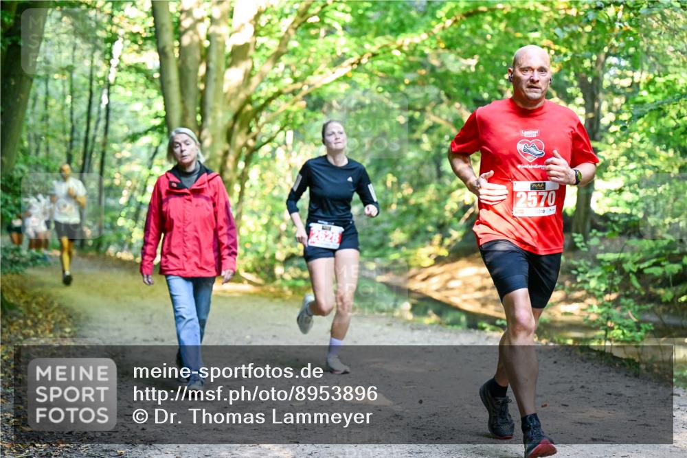 28.09.2025 - 33. Volkslauf durch das schöne Alstertal Dr. Thomas Lammeyer http://msf.ph/oto/8953896 28.09.2025 10:37:19 Laufen 2570 meine-sportfotos.de