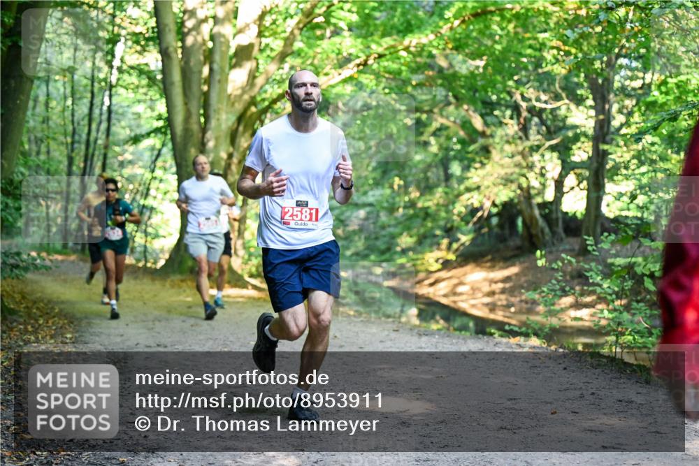 28.09.2025 - 33. Volkslauf durch das schöne Alstertal Dr. Thomas Lammeyer http://msf.ph/oto/8953911 28.09.2025 10:37:23 Laufen 2581 meine-sportfotos.de
