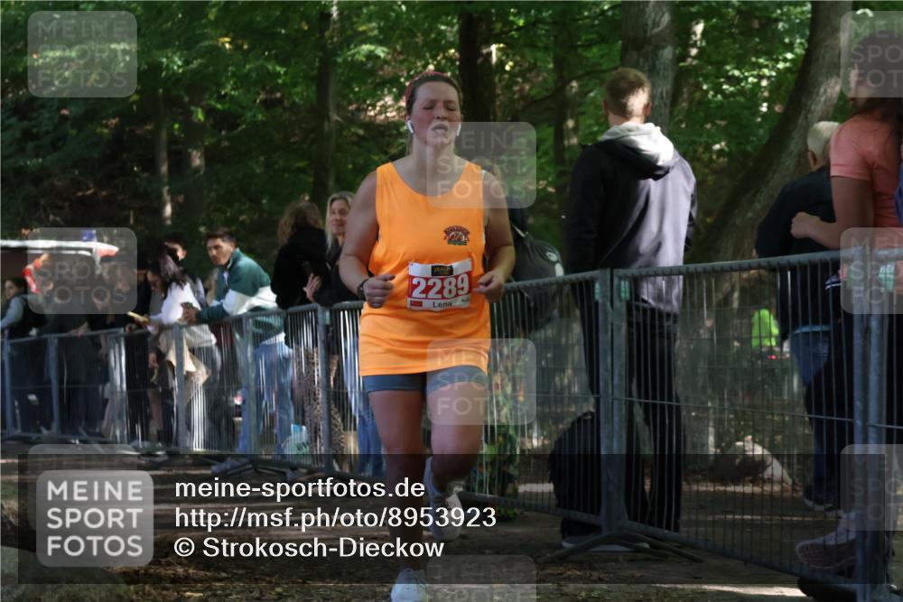 28.09.2025 - 33. Volkslauf durch das schöne Alstertal Strokosch-Dieckow http://msf.ph/oto/8953923 28.09.2025 12:35:23 Ziel 2289 meine-sportfotos.de