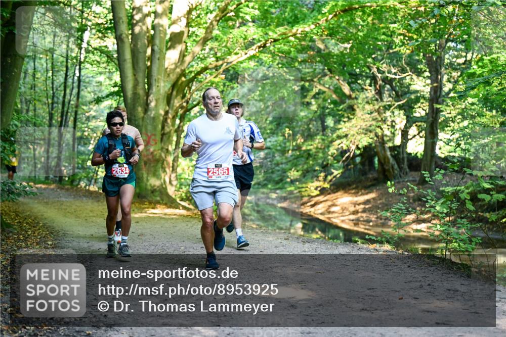 28.09.2025 - 33. Volkslauf durch das schöne Alstertal Dr. Thomas Lammeyer http://msf.ph/oto/8953925 28.09.2025 10:37:25 Laufen 2634, 2565 meine-sportfotos.de