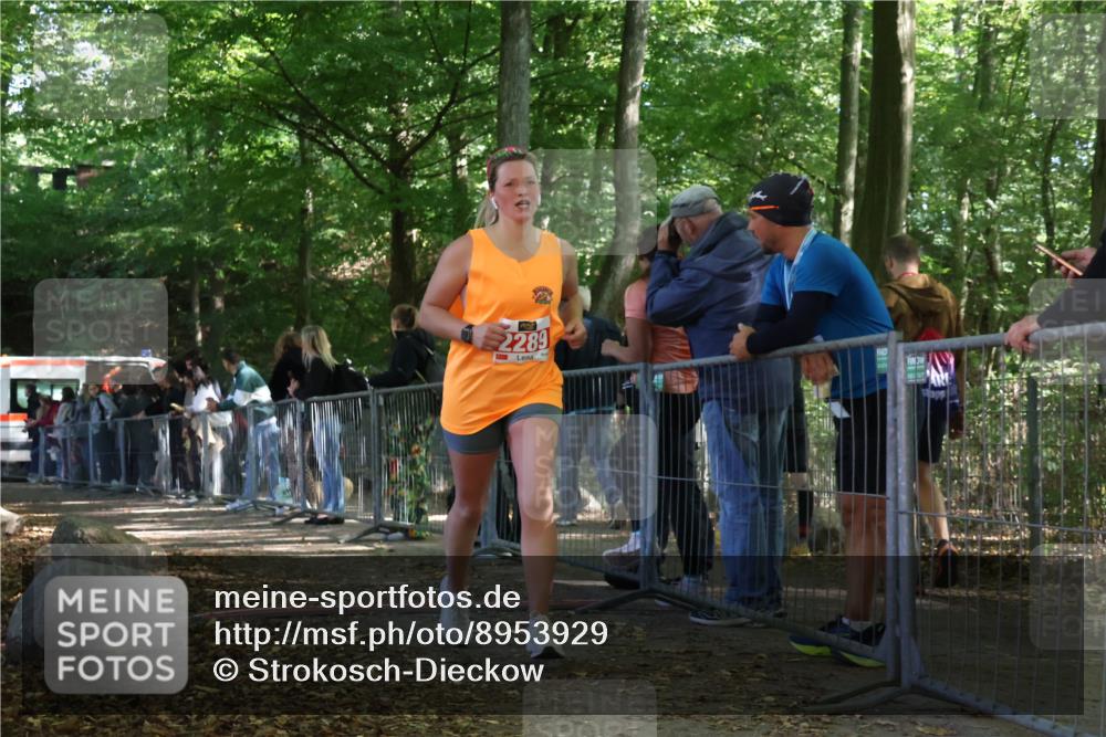 28.09.2025 - 33. Volkslauf durch das schöne Alstertal Strokosch-Dieckow http://msf.ph/oto/8953929 28.09.2025 12:35:24 Ziel 2289 meine-sportfotos.de