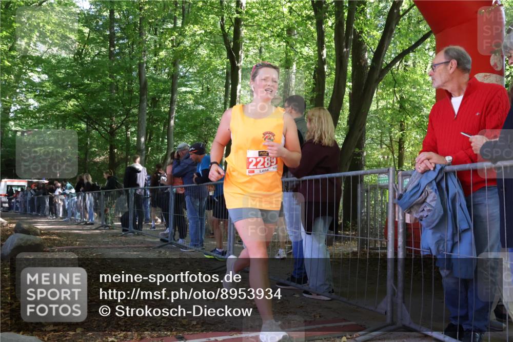 28.09.2025 - 33. Volkslauf durch das schöne Alstertal Strokosch-Dieckow http://msf.ph/oto/8953934 28.09.2025 12:35:25 Ziel  meine-sportfotos.de