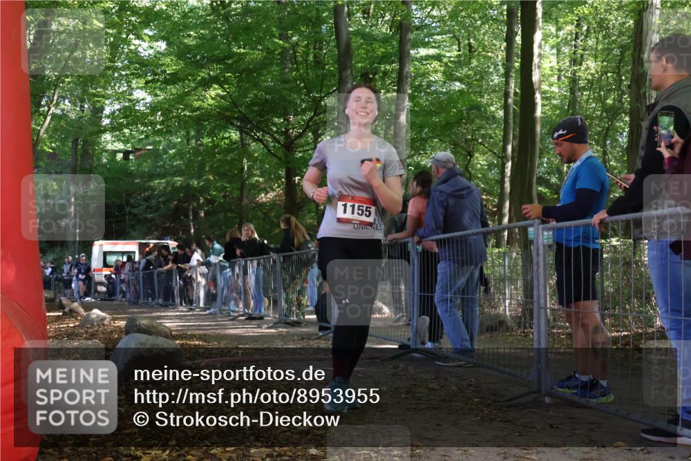28.09.2025 - 33. Volkslauf durch das schöne Alstertal Strokosch-Dieckow http://msf.ph/oto/8953955 28.09.2025 12:35:54 Ziel 2505 meine-sportfotos.de