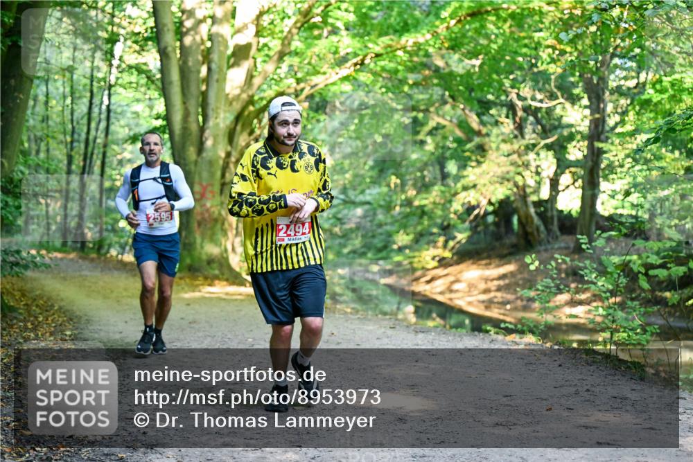 28.09.2025 - 33. Volkslauf durch das schöne Alstertal Dr. Thomas Lammeyer http://msf.ph/oto/8953973 28.09.2025 10:37:32 Laufen 2595, 2494 meine-sportfotos.de