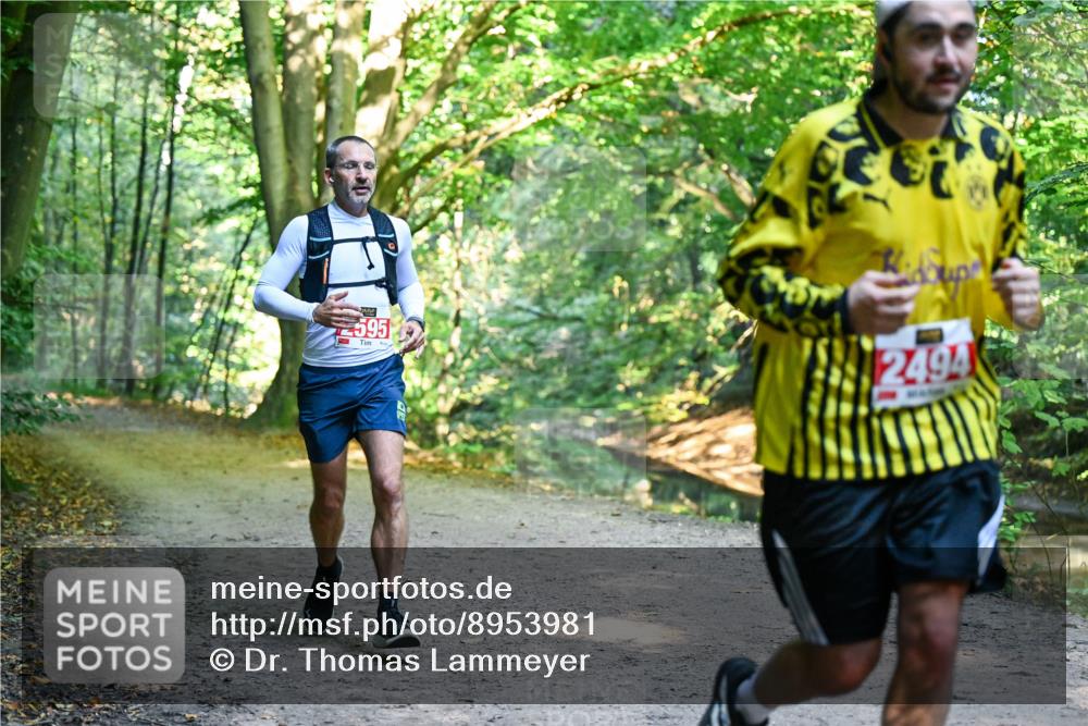 28.09.2025 - 33. Volkslauf durch das schöne Alstertal Dr. Thomas Lammeyer http://msf.ph/oto/8953981 28.09.2025 10:37:34 Laufen 595, 2494 meine-sportfotos.de