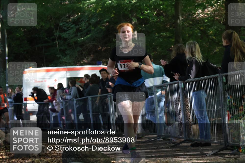 28.09.2025 - 33. Volkslauf durch das schöne Alstertal Strokosch-Dieckow http://msf.ph/oto/8953988 28.09.2025 12:36:52 Ziel 1112, 2277, 2461 meine-sportfotos.de