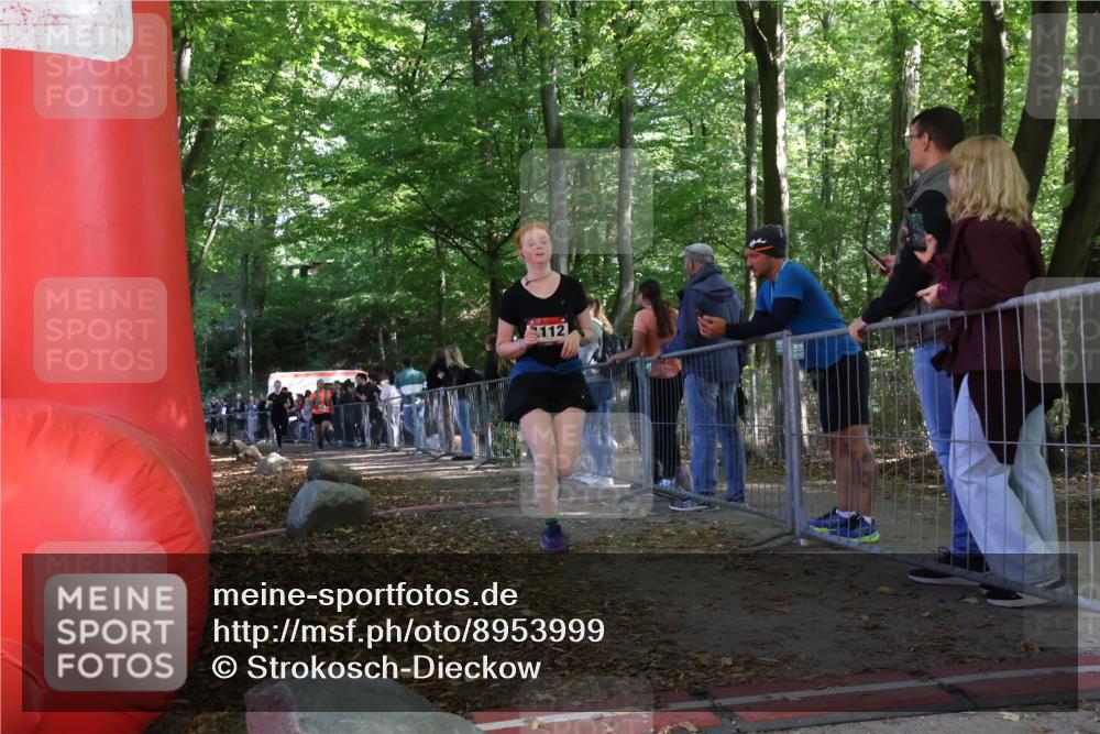 28.09.2025 - 33. Volkslauf durch das schöne Alstertal Strokosch-Dieckow http://msf.ph/oto/8953999 28.09.2025 12:36:54 Ziel 1112, 2277, 2461 meine-sportfotos.de