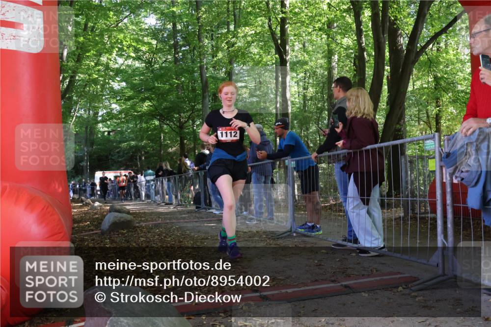 28.09.2025 - 33. Volkslauf durch das schöne Alstertal Strokosch-Dieckow http://msf.ph/oto/8954002 28.09.2025 12:36:55 Ziel 1112, 2277, 2461 meine-sportfotos.de