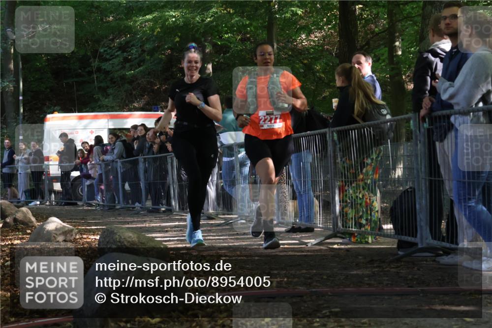 28.09.2025 - 33. Volkslauf durch das schöne Alstertal Strokosch-Dieckow http://msf.ph/oto/8954005 28.09.2025 12:36:57 Ziel 2277, 2461 meine-sportfotos.de