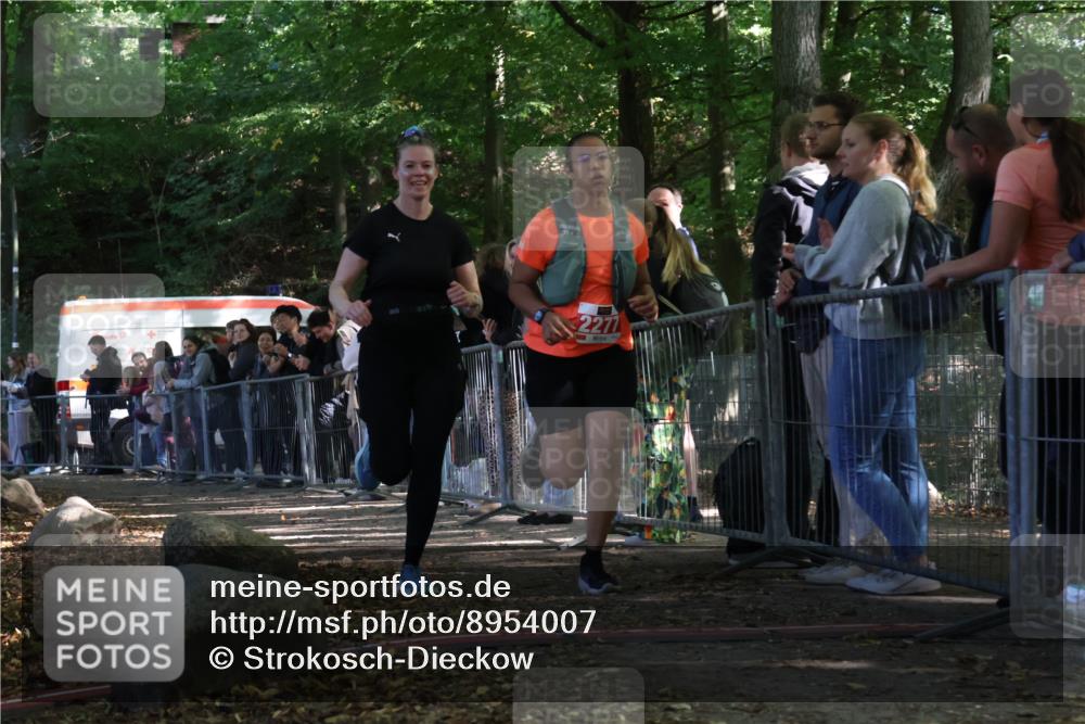 28.09.2025 - 33. Volkslauf durch das schöne Alstertal Strokosch-Dieckow http://msf.ph/oto/8954007 28.09.2025 12:36:58 Ziel 2277, 2461 meine-sportfotos.de