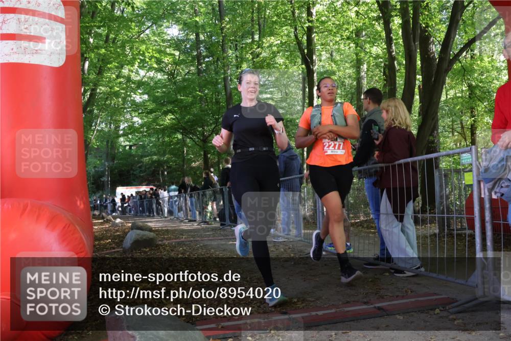 28.09.2025 - 33. Volkslauf durch das schöne Alstertal Strokosch-Dieckow http://msf.ph/oto/8954020 28.09.2025 12:36:59 Ziel 2277, 2461 meine-sportfotos.de