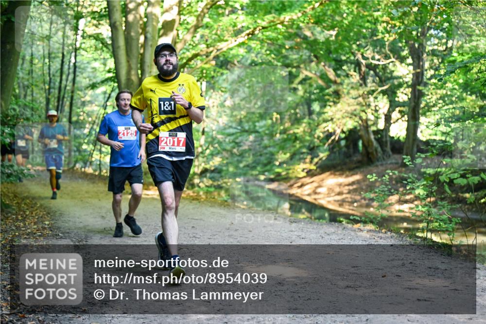 28.09.2025 - 33. Volkslauf durch das schöne Alstertal Dr. Thomas Lammeyer http://msf.ph/oto/8954039 28.09.2025 10:37:46 Laufen 1, 1, 2125, 2017 meine-sportfotos.de