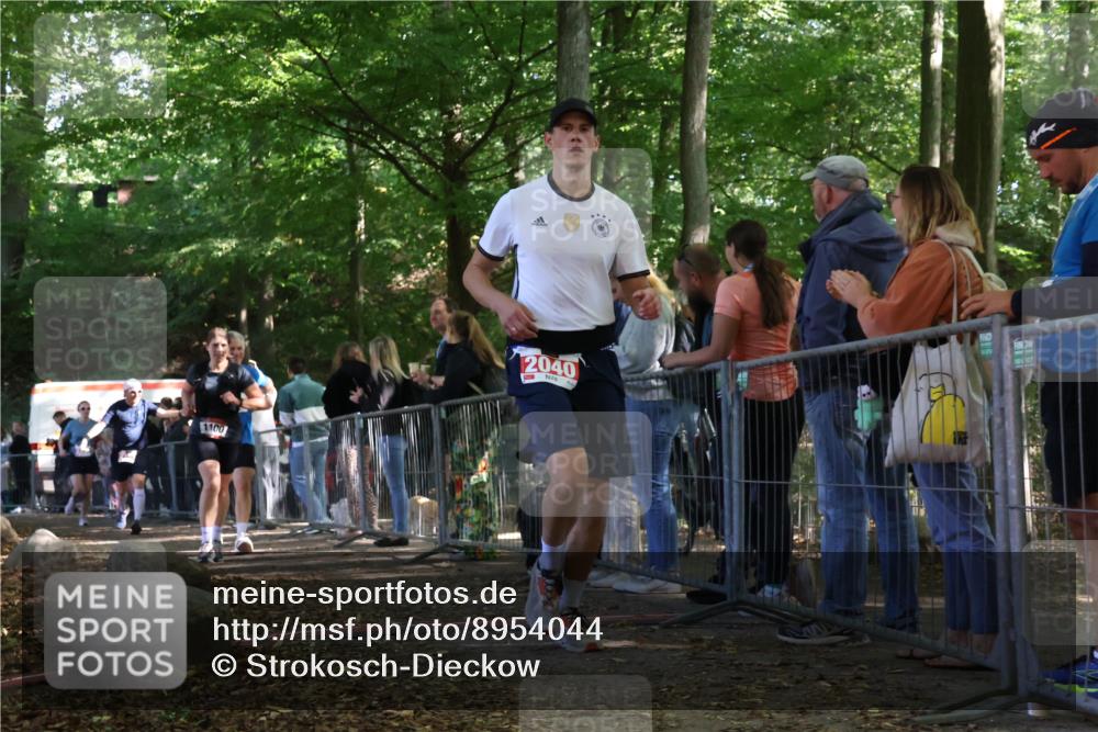28.09.2025 - 33. Volkslauf durch das schöne Alstertal Strokosch-Dieckow http://msf.ph/oto/8954044 28.09.2025 12:37:45 Ziel 1100, 2040, 2186, 2220, 2386 meine-sportfotos.de