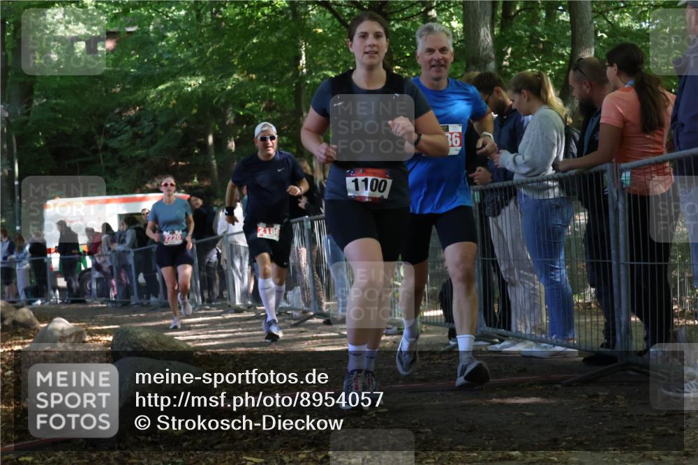 28.09.2025 - 33. Volkslauf durch das schöne Alstertal Strokosch-Dieckow http://msf.ph/oto/8954057 28.09.2025 12:37:48 Ziel 1100, 2186, 2220, 2386 meine-sportfotos.de