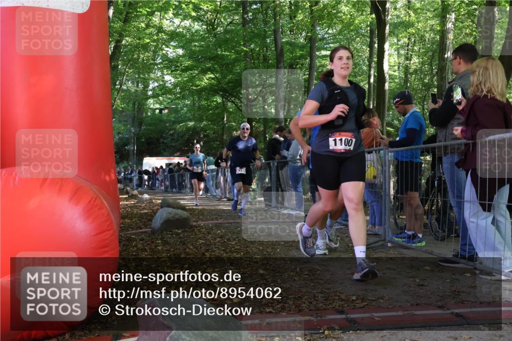 28.09.2025 - 33. Volkslauf durch das schöne Alstertal Strokosch-Dieckow http://msf.ph/oto/8954062 28.09.2025 12:37:50 Ziel 2186, 2220, 2386 meine-sportfotos.de