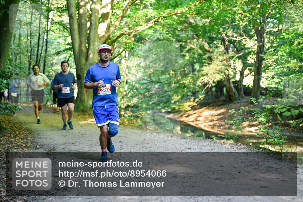 28.09.2025 - 33. Volkslauf durch das schöne Alstertal Dr. Thomas Lammeyer http://msf.ph/oto/8954066 28.09.2025 10:37:49 Laufen 2362 meine-sportfotos.de