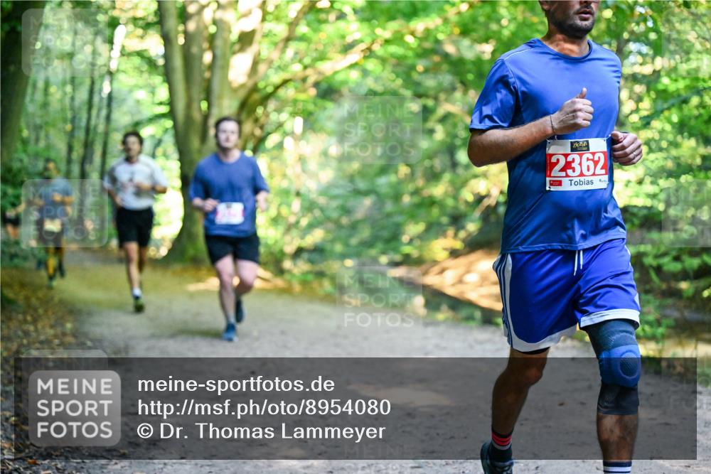 28.09.2025 - 33. Volkslauf durch das schöne Alstertal Dr. Thomas Lammeyer http://msf.ph/oto/8954080 28.09.2025 10:37:51 Laufen 2362 meine-sportfotos.de