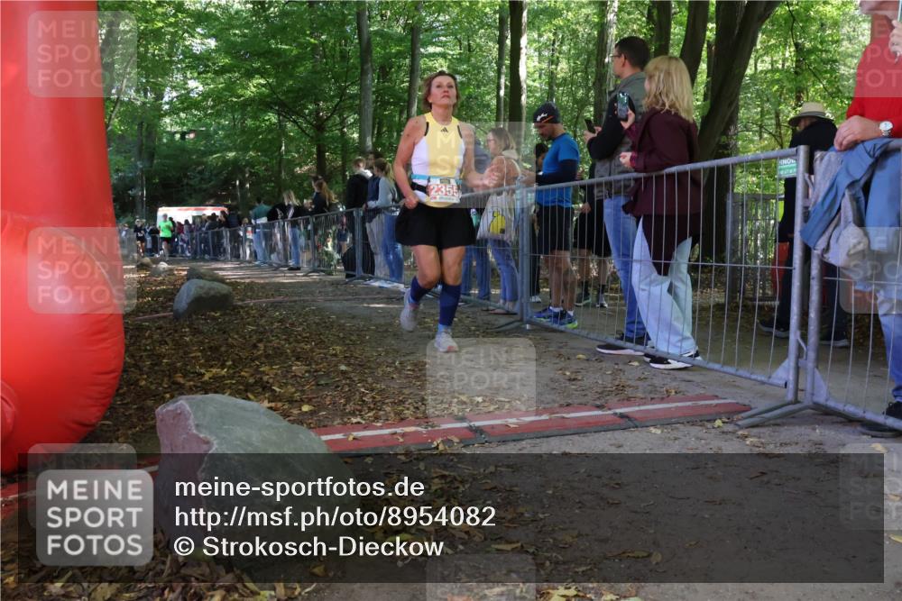 28.09.2025 - 33. Volkslauf durch das schöne Alstertal Strokosch-Dieckow http://msf.ph/oto/8954082 28.09.2025 12:38:05 Ziel 2355, 2464, 2539 meine-sportfotos.de
