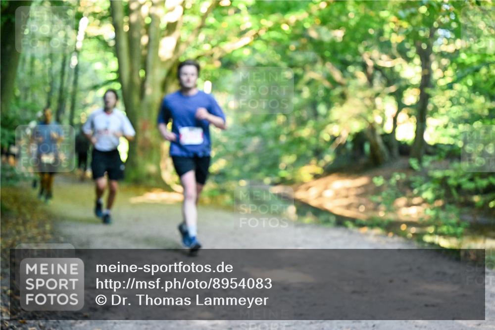 28.09.2025 - 33. Volkslauf durch das schöne Alstertal Dr. Thomas Lammeyer http://msf.ph/oto/8954083 28.09.2025 10:37:51 Laufen  meine-sportfotos.de