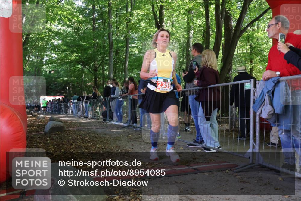 28.09.2025 - 33. Volkslauf durch das schöne Alstertal Strokosch-Dieckow http://msf.ph/oto/8954085 28.09.2025 12:38:05 Ziel 2355, 2464, 2539 meine-sportfotos.de
