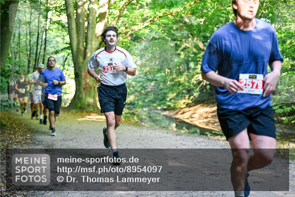 28.09.2025 - 33. Volkslauf durch das schöne Alstertal Dr. Thomas Lammeyer http://msf.ph/oto/8954097 28.09.2025 10:37:53 Laufen 2371, 257, 2579 meine-sportfotos.de