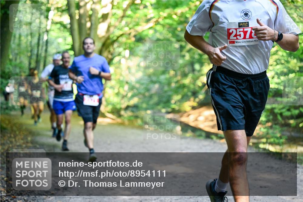 28.09.2025 - 33. Volkslauf durch das schöne Alstertal Dr. Thomas Lammeyer http://msf.ph/oto/8954111 28.09.2025 10:37:54 Laufen 257 meine-sportfotos.de