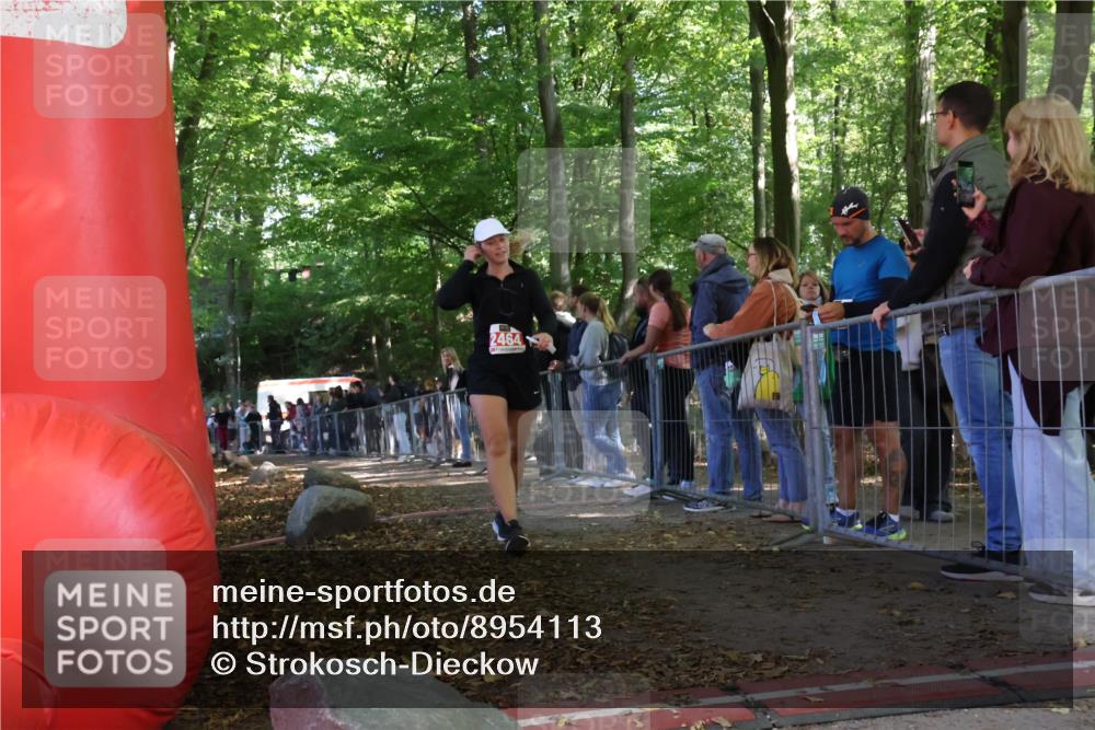 28.09.2025 - 33. Volkslauf durch das schöne Alstertal Strokosch-Dieckow http://msf.ph/oto/8954113 28.09.2025 12:38:15 Ziel 2464 meine-sportfotos.de