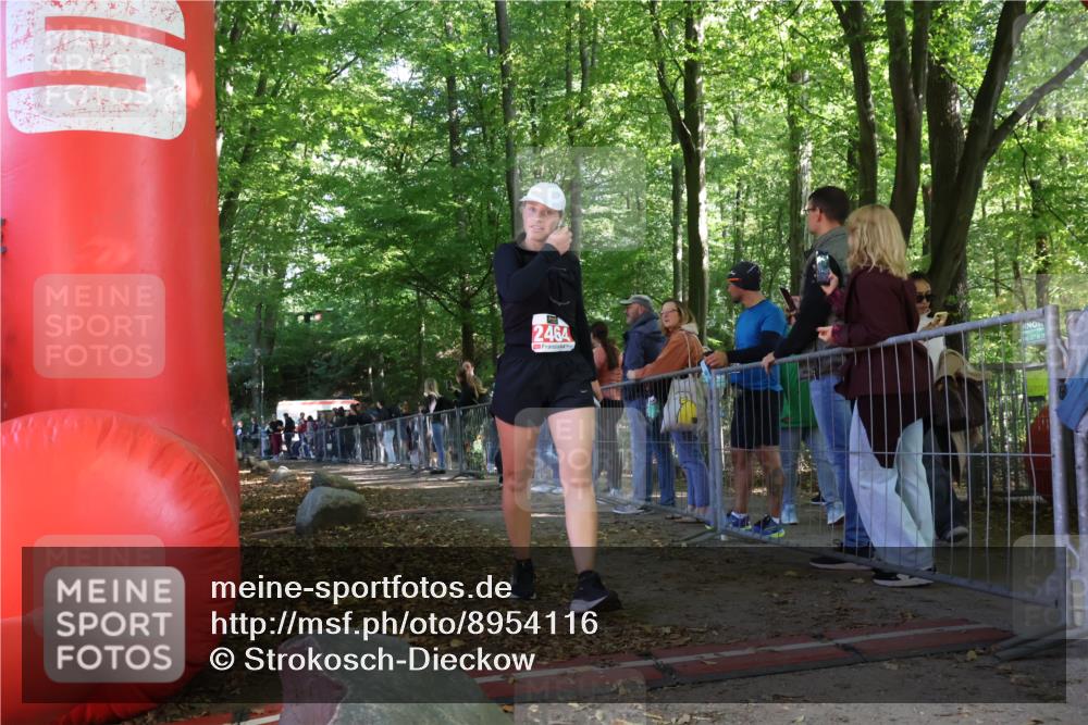 28.09.2025 - 33. Volkslauf durch das schöne Alstertal Strokosch-Dieckow http://msf.ph/oto/8954116 28.09.2025 12:38:16 Ziel  meine-sportfotos.de