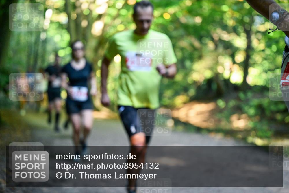 28.09.2025 - 33. Volkslauf durch das schöne Alstertal Dr. Thomas Lammeyer http://msf.ph/oto/8954132 28.09.2025 10:37:58 Laufen  meine-sportfotos.de