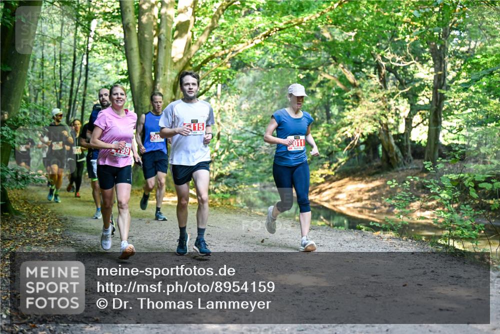 28.09.2025 - 33. Volkslauf durch das schöne Alstertal Dr. Thomas Lammeyer http://msf.ph/oto/8954159 28.09.2025 10:38:02 Laufen 89, 115, 011 meine-sportfotos.de