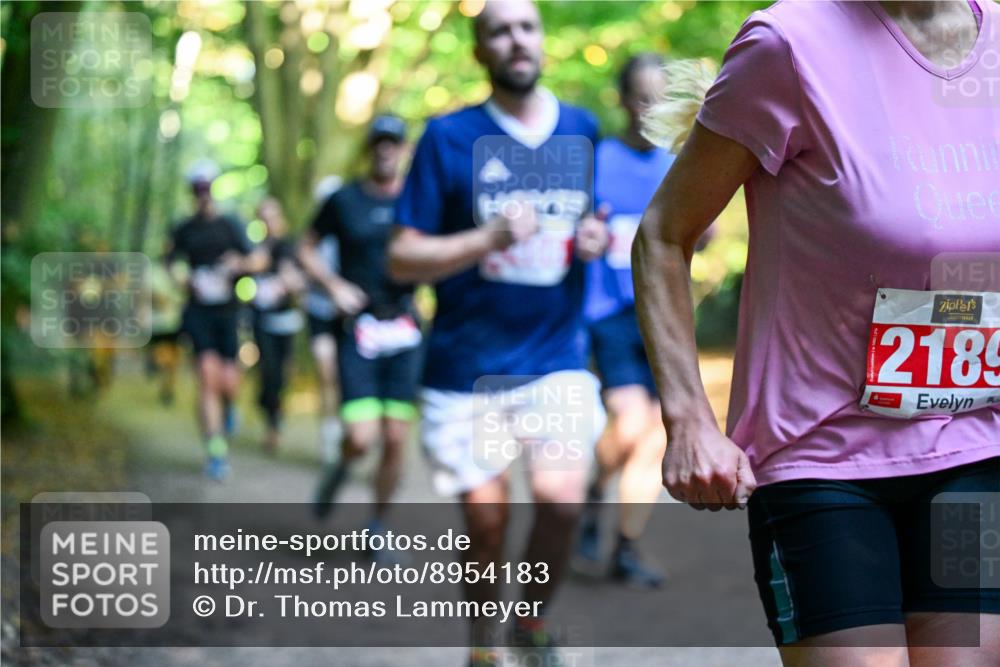 28.09.2025 - 33. Volkslauf durch das schöne Alstertal Dr. Thomas Lammeyer http://msf.ph/oto/8954183 28.09.2025 10:38:04 Laufen 144, 2189 meine-sportfotos.de