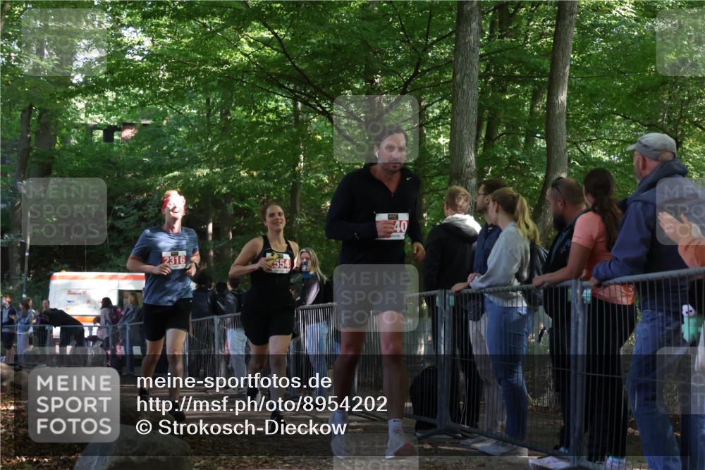 28.09.2025 - 33. Volkslauf durch das schöne Alstertal Strokosch-Dieckow http://msf.ph/oto/8954202 28.09.2025 12:39:03 Ziel 2316, 2554, 2640 meine-sportfotos.de