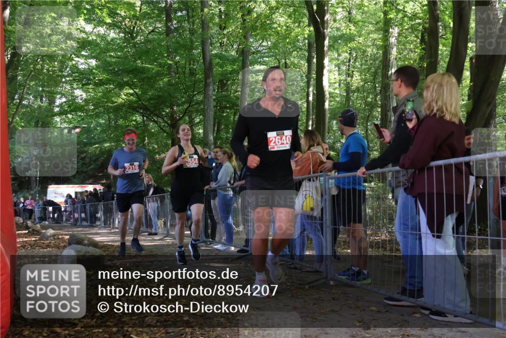 28.09.2025 - 33. Volkslauf durch das schöne Alstertal Strokosch-Dieckow http://msf.ph/oto/8954207 28.09.2025 12:39:05 Ziel 2316, 2353, 2554, 2640 meine-sportfotos.de