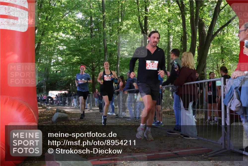 28.09.2025 - 33. Volkslauf durch das schöne Alstertal Strokosch-Dieckow http://msf.ph/oto/8954211 28.09.2025 12:39:05 Ziel 2316, 2353, 2554, 2640 meine-sportfotos.de