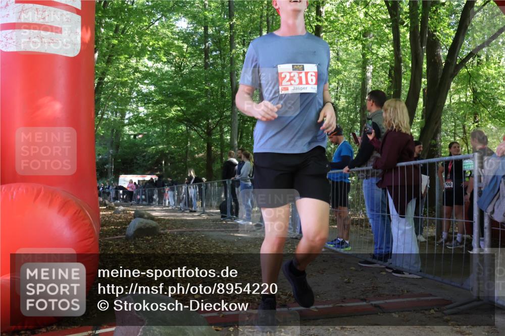 28.09.2025 - 33. Volkslauf durch das schöne Alstertal Strokosch-Dieckow http://msf.ph/oto/8954220 28.09.2025 12:39:07 Ziel 2316, 2353 meine-sportfotos.de
