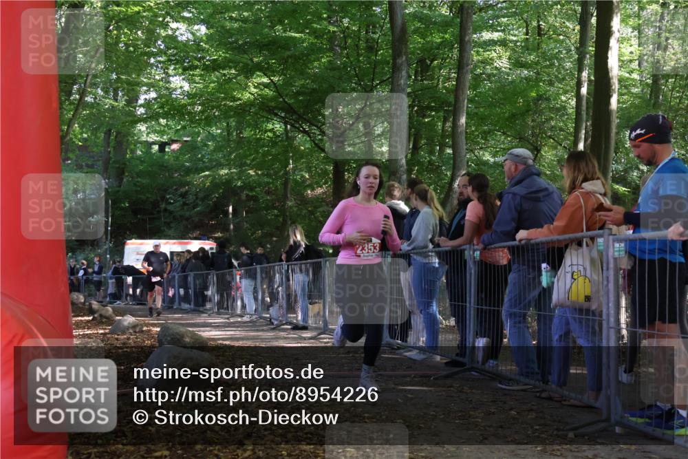 28.09.2025 - 33. Volkslauf durch das schöne Alstertal Strokosch-Dieckow http://msf.ph/oto/8954226 28.09.2025 12:39:13 Ziel 2353, 2544 meine-sportfotos.de