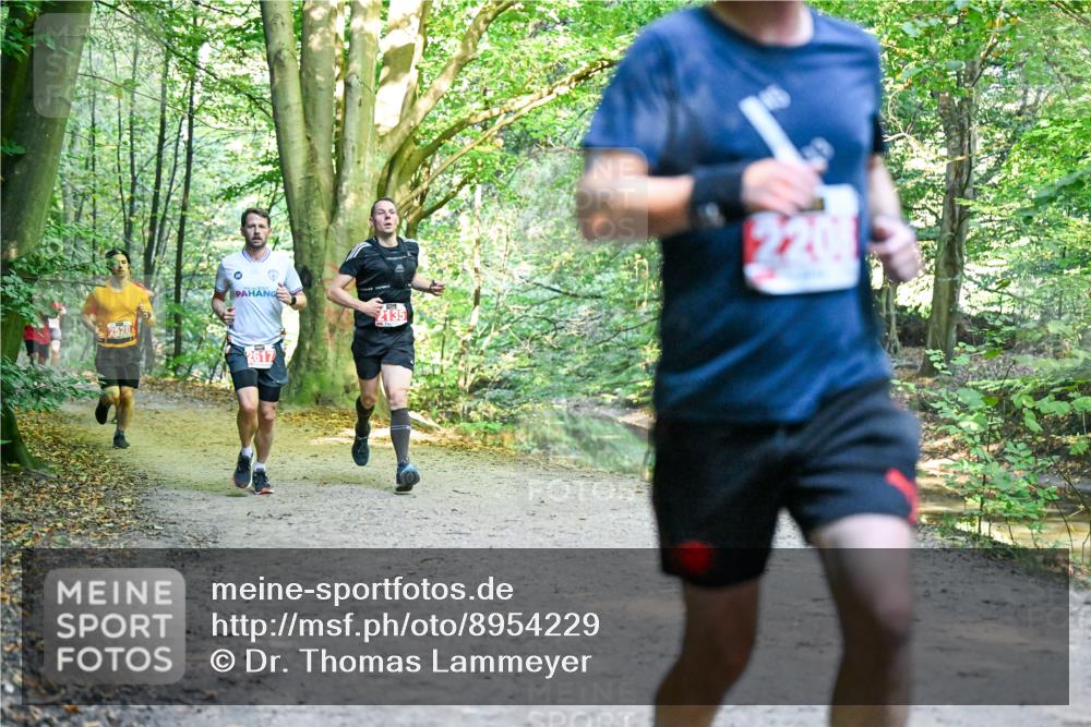 28.09.2025 - 33. Volkslauf durch das schöne Alstertal Dr. Thomas Lammeyer http://msf.ph/oto/8954229 28.09.2025 10:38:11 Laufen 2528, 2617, 203 meine-sportfotos.de
