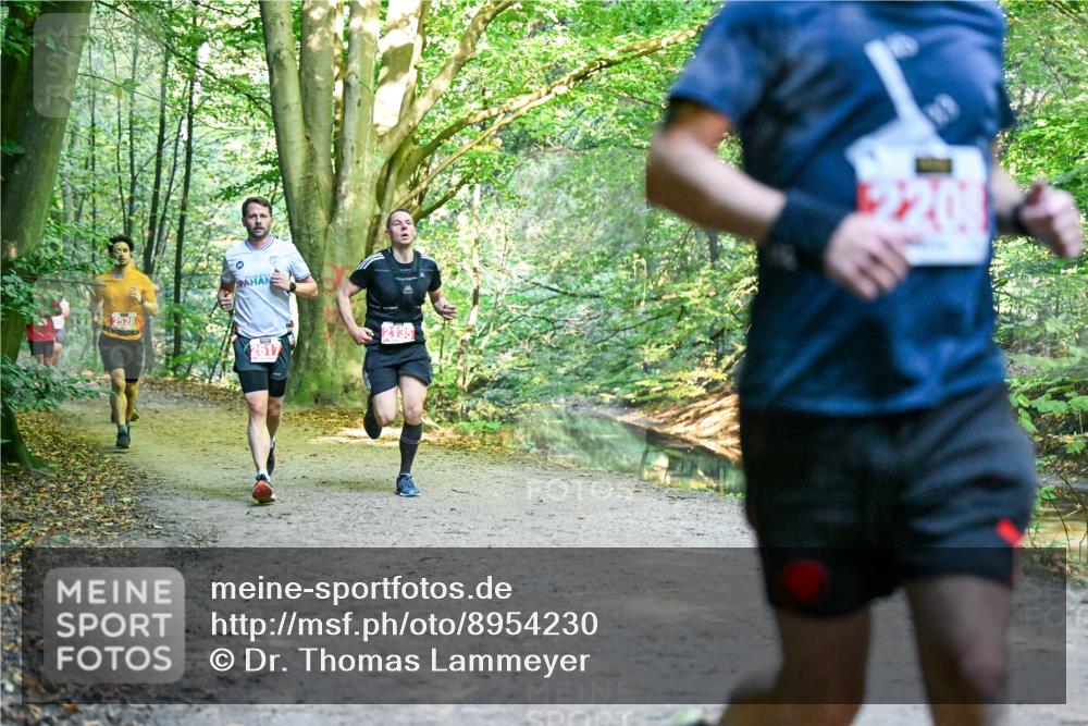 28.09.2025 - 33. Volkslauf durch das schöne Alstertal Dr. Thomas Lammeyer http://msf.ph/oto/8954230 28.09.2025 10:38:11 Laufen 2528 meine-sportfotos.de