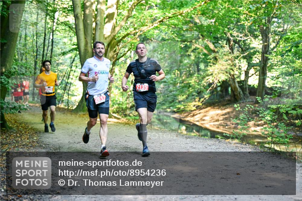 28.09.2025 - 33. Volkslauf durch das schöne Alstertal Dr. Thomas Lammeyer http://msf.ph/oto/8954236 28.09.2025 10:38:12 Laufen 2528, 261, 2135 meine-sportfotos.de