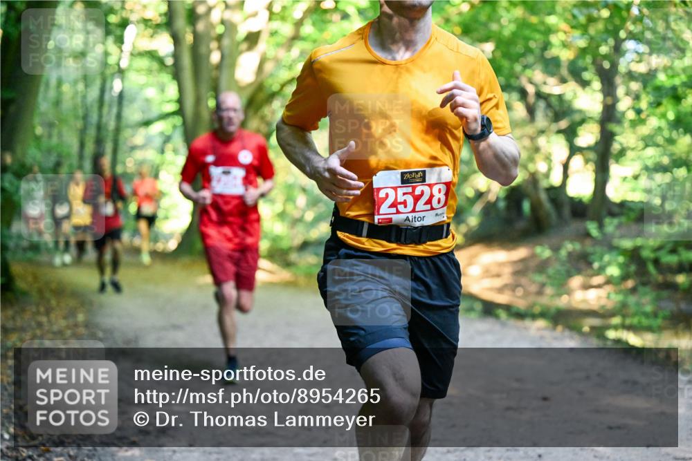 28.09.2025 - 33. Volkslauf durch das schöne Alstertal Dr. Thomas Lammeyer http://msf.ph/oto/8954265 28.09.2025 10:38:15 Laufen 2528 meine-sportfotos.de
