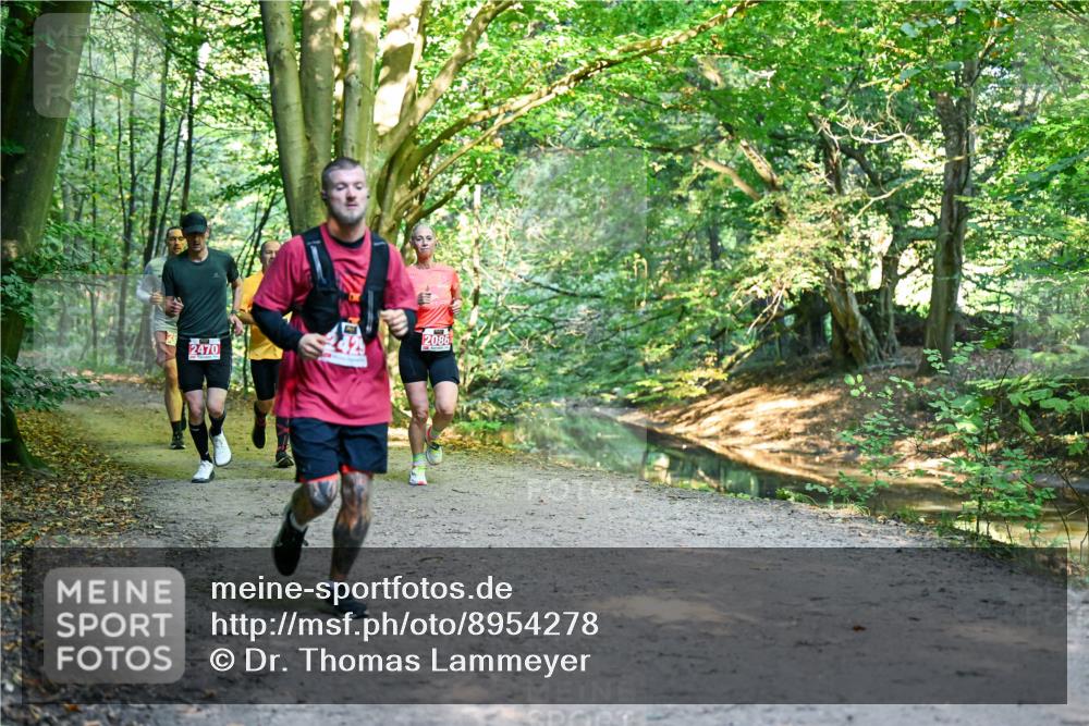 28.09.2025 - 33. Volkslauf durch das schöne Alstertal Dr. Thomas Lammeyer http://msf.ph/oto/8954278 28.09.2025 10:38:18 Laufen 2086, 2470 meine-sportfotos.de