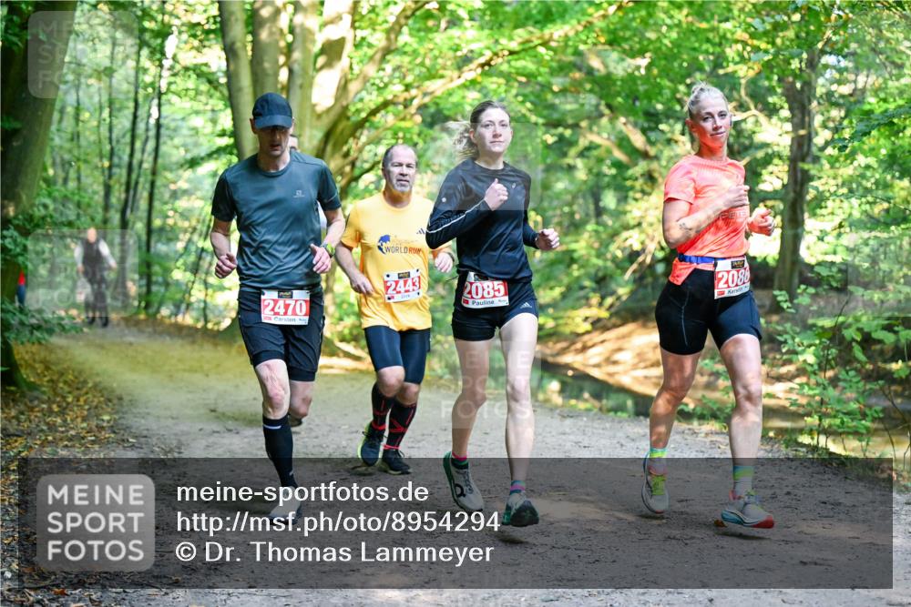28.09.2025 - 33. Volkslauf durch das schöne Alstertal Dr. Thomas Lammeyer http://msf.ph/oto/8954294 28.09.2025 10:38:20 Laufen 2470, 2443, 2085, 2086 meine-sportfotos.de
